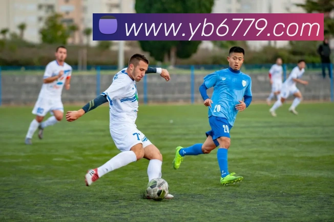 多媒体互动体验