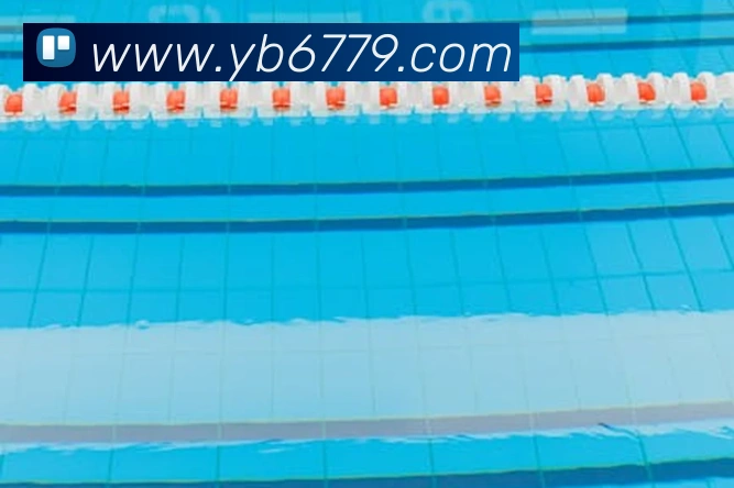 yabo体育平台官网入口APP 体育赛事宣传图